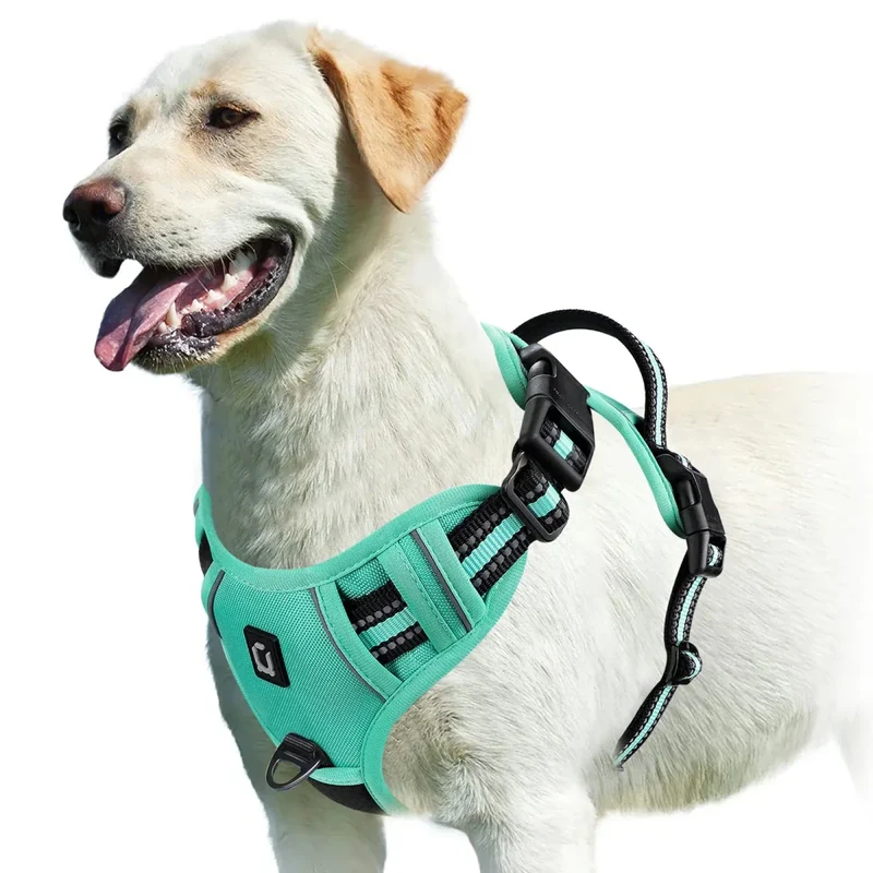 Harnais Bouclier Anti-Traction Gros Chien Réglable