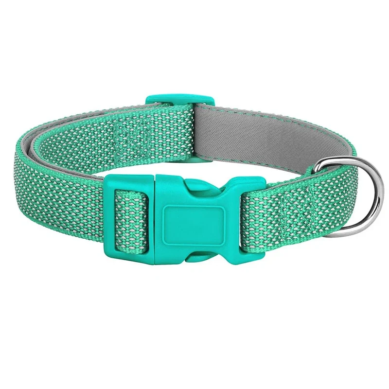 Collier Réfléchissant Chiot Grande Race S-L