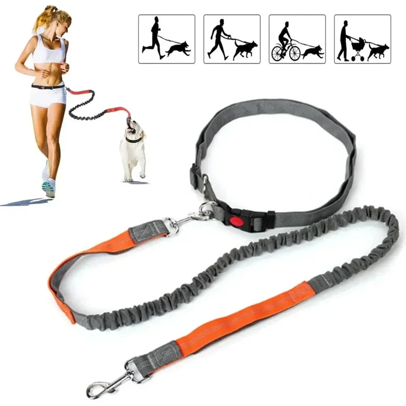Laisse Mains Libres Réglable Canicross Chien
