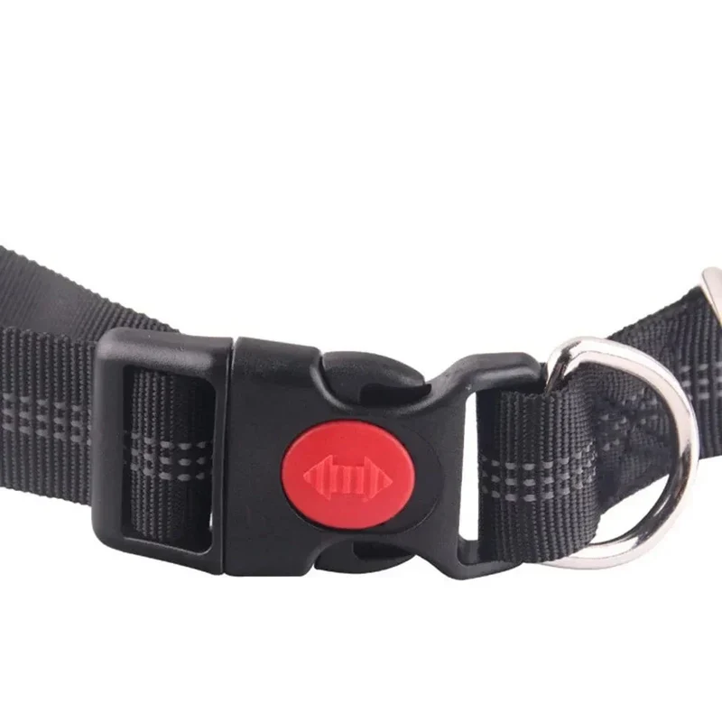 Laisse Mains Libres Réglable Canicross Chien