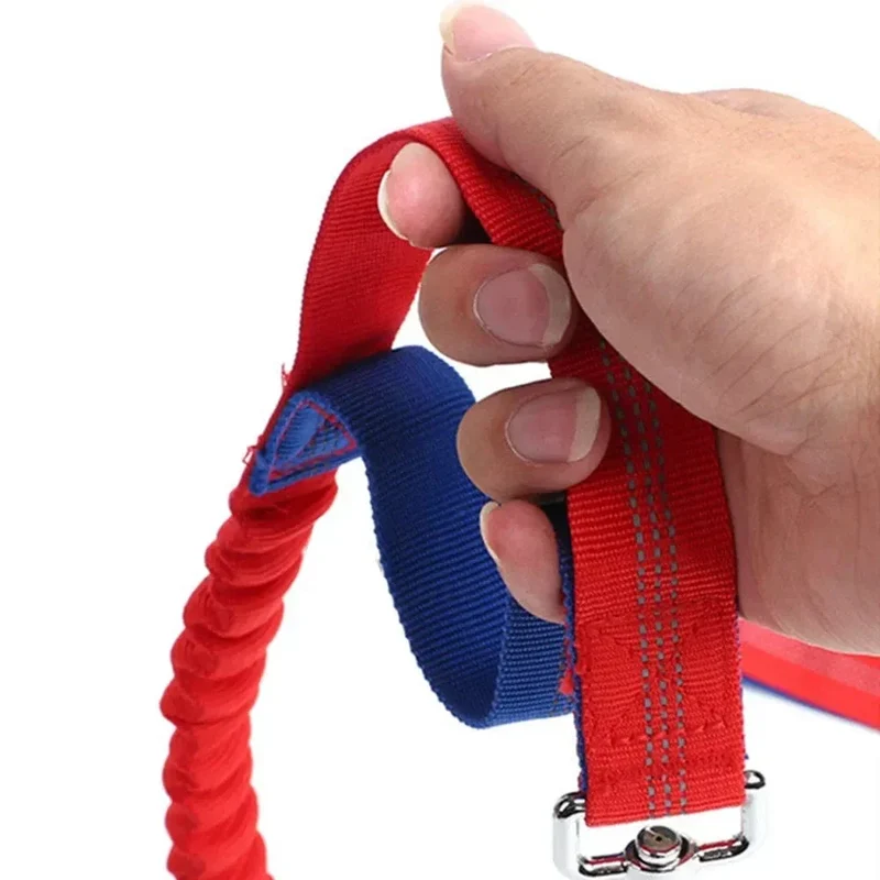 Laisse Mains Libres Réglable Canicross Chien