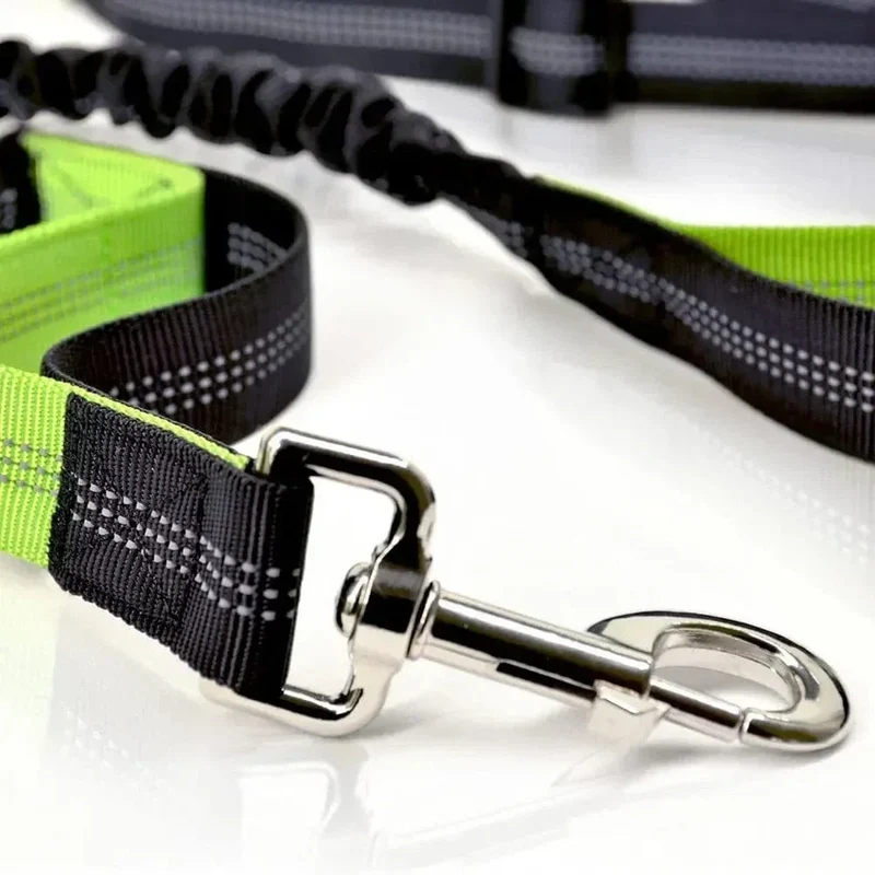Laisse Mains Libres Réglable Canicross Chien