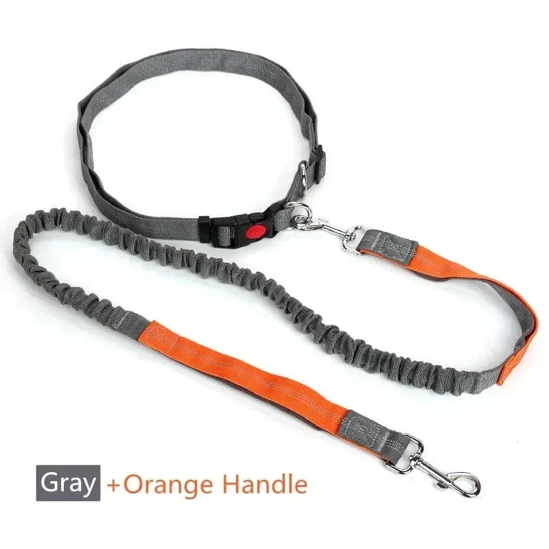 Laisse Mains Libres Réglable Canicross Chien
