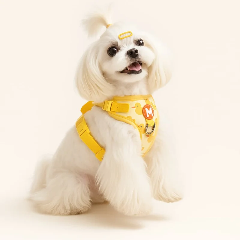 Harnais Fantaisie Canard avec Laisse Chien XS-XL