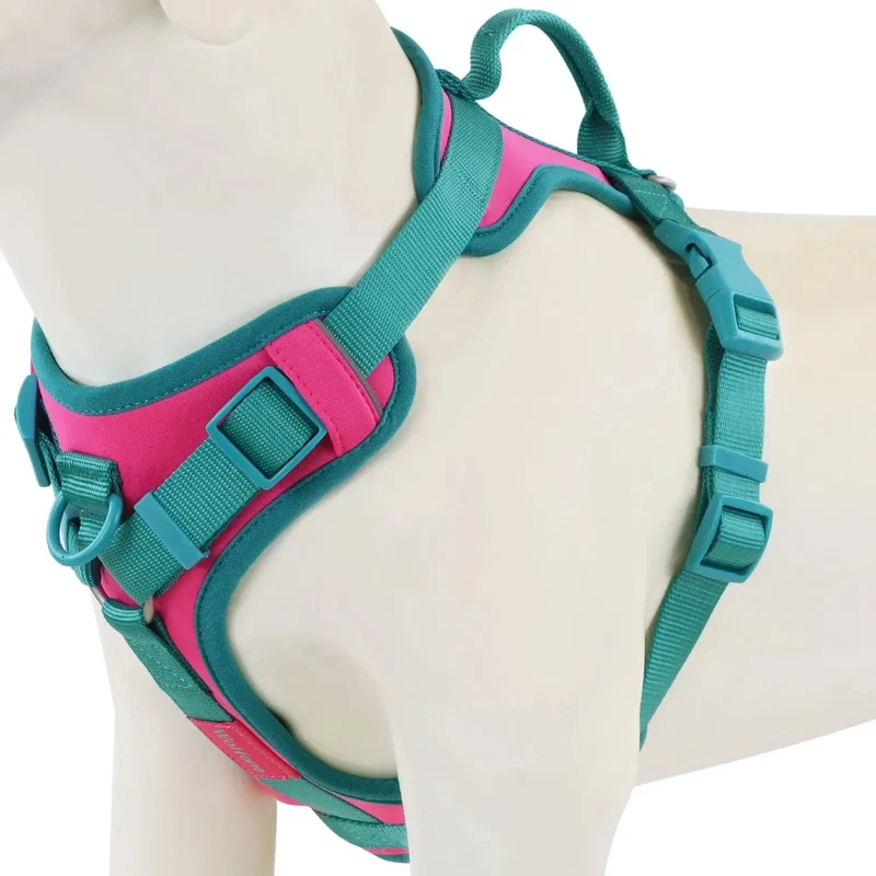 Harnais Respirant Mesh Ajustable Gros Chien S-XL