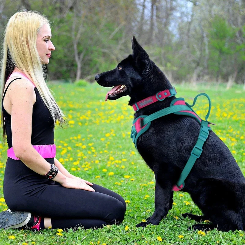 Harnais Respirant Mesh Ajustable Gros Chien S-XL