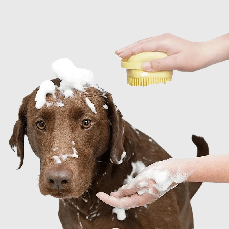 Brosse Silicone Bain Massage Gros Chien