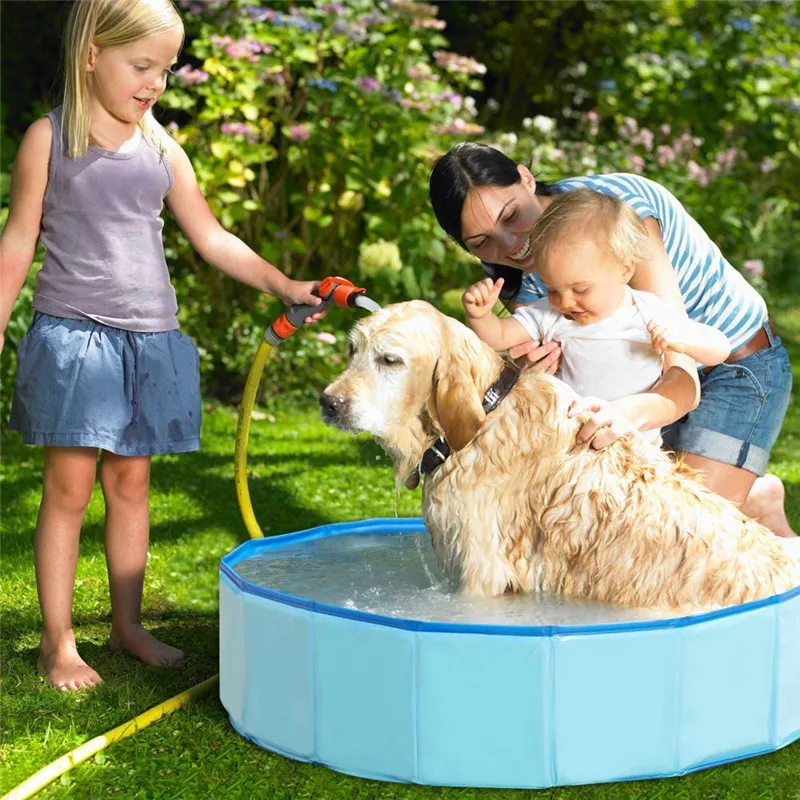 Piscine Plastique Rigide Chien Été Rafraîchissement