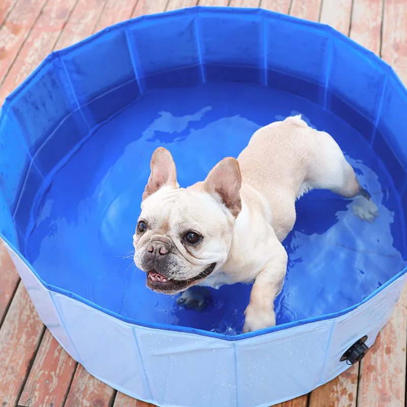 Piscine Plastique Rigide Chien Été Rafraîchissement