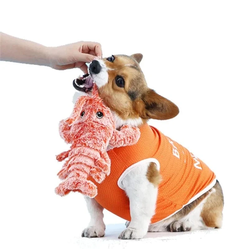 Jouet Homard Vibrant Interactif Chien