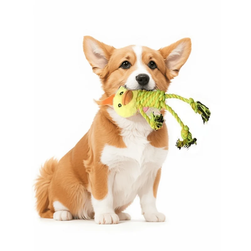 Jouet Peluche Résistant Gros Chien 6 Modèles