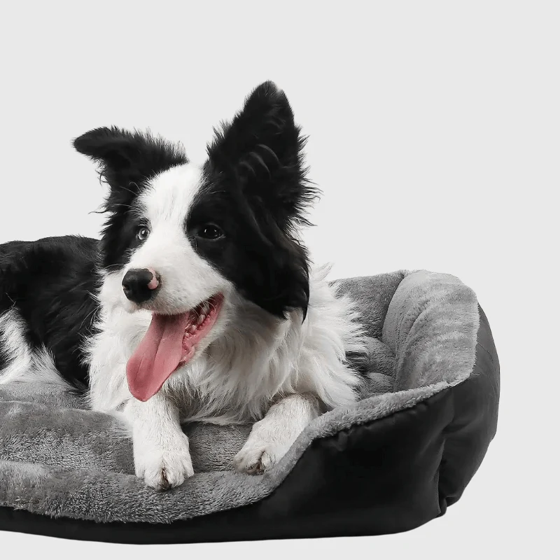 Panier Chien Résistant Confort 7 Tailles