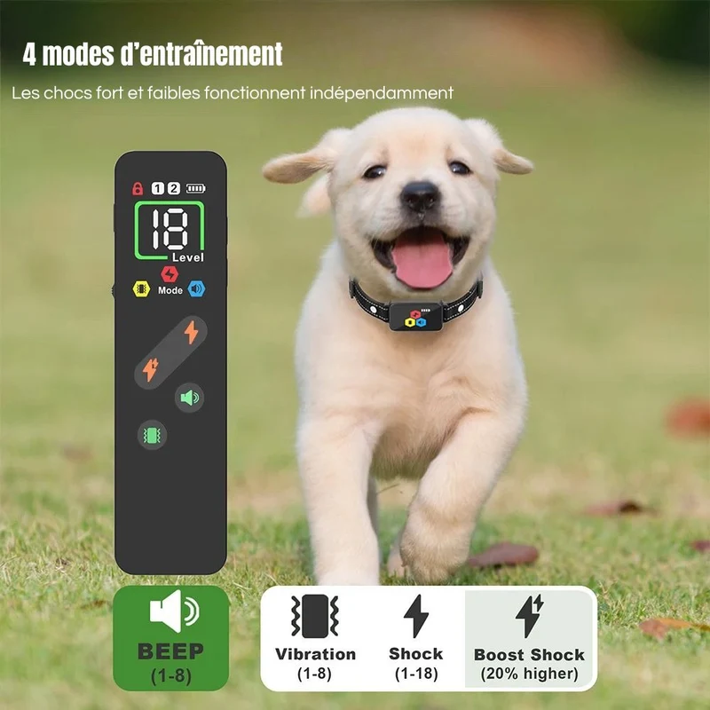Collier Dressage Étanche Gros Chien