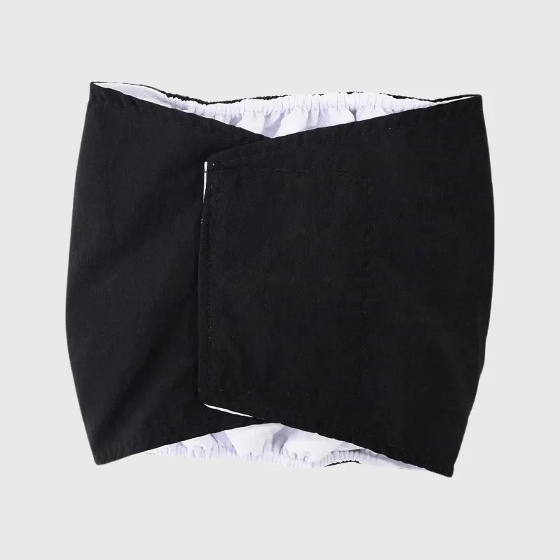 Culotte Hygiénique Chienne Réglable XS-XL