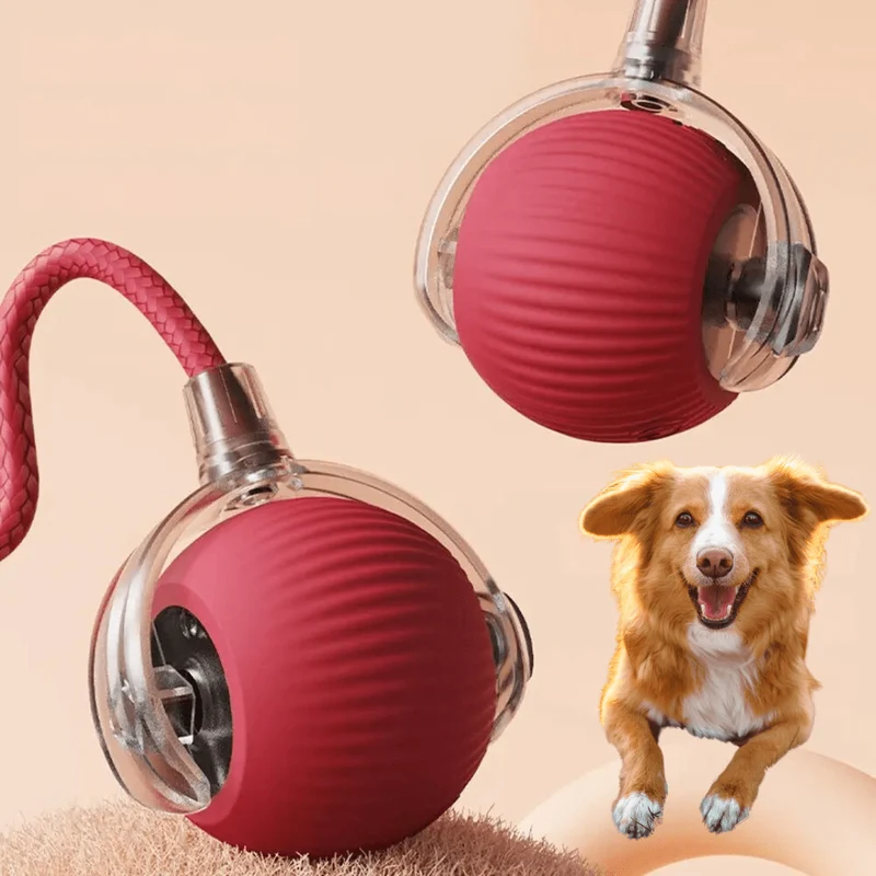Balle Interactive Automatique Gros Chien