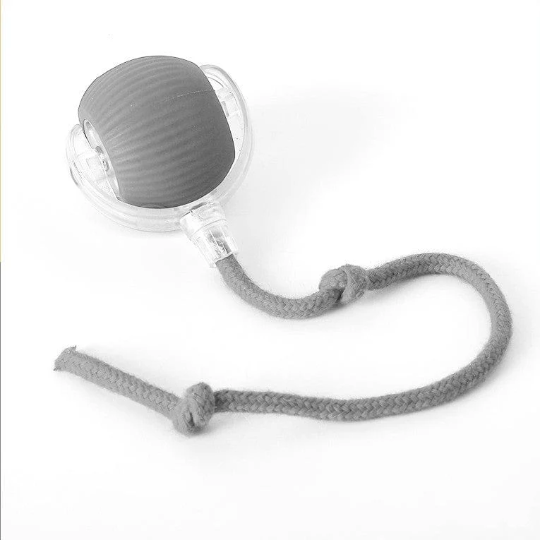 Balle Interactive Automatique Gros Chien