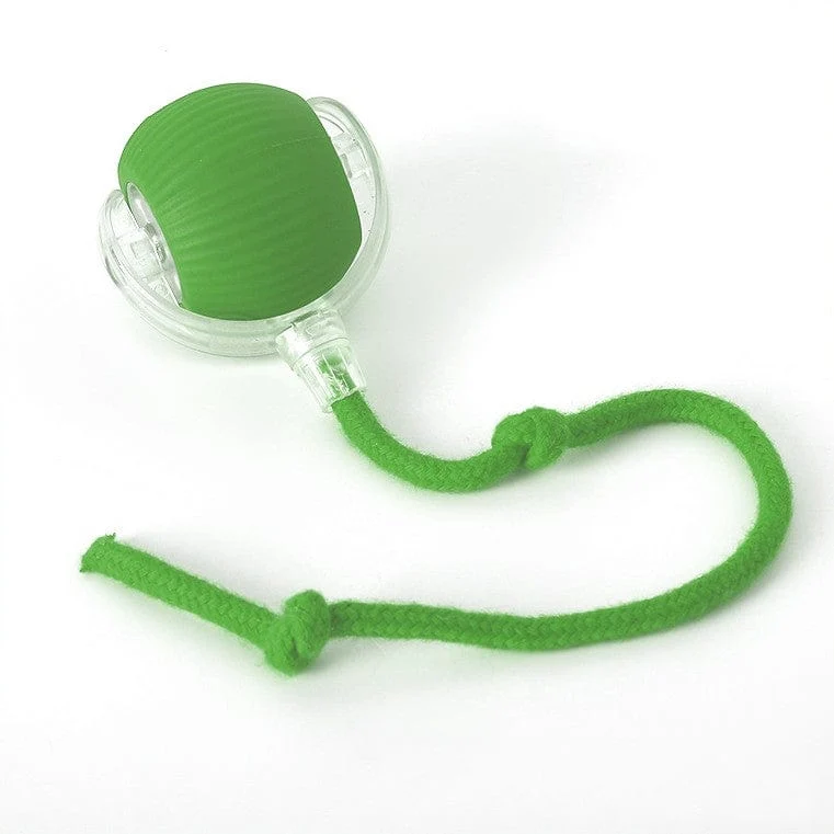 Balle Interactive Automatique Gros Chien