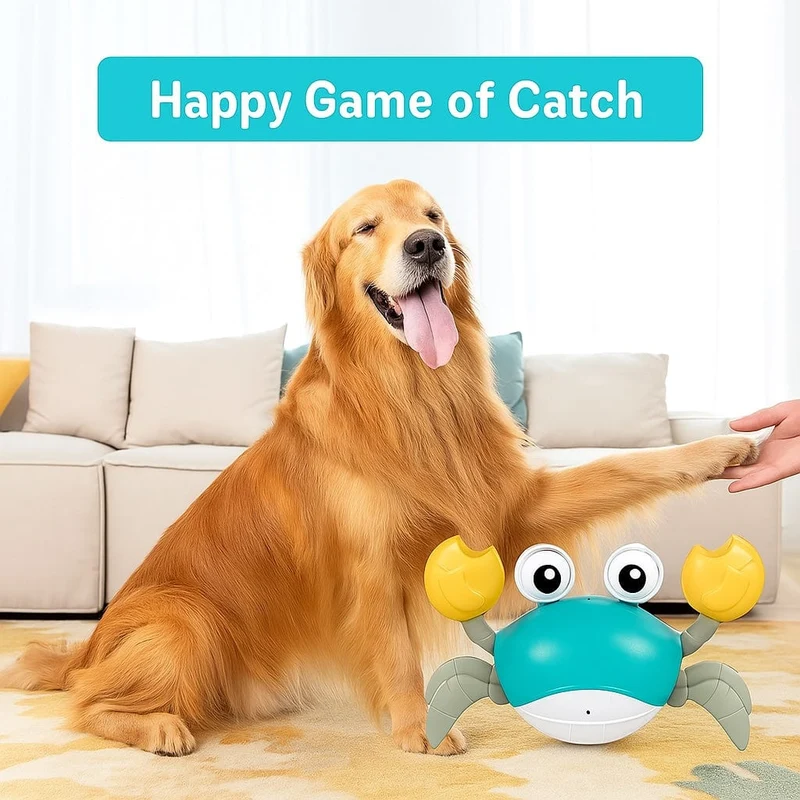 Jouet Crabe Dansant Interactif pour Chien