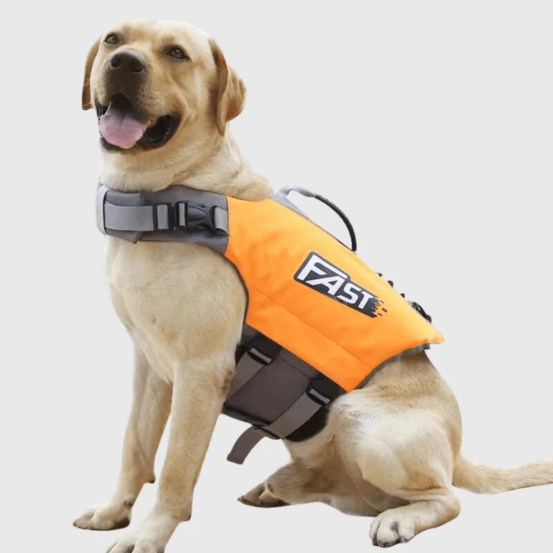 Gilet Sauvetage Chien Aérodynamique Orange