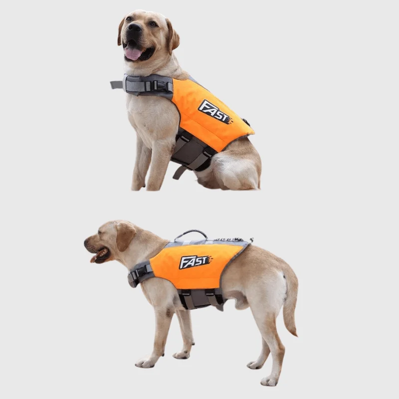 Gilet Sauvetage Chien Aérodynamique Orange
