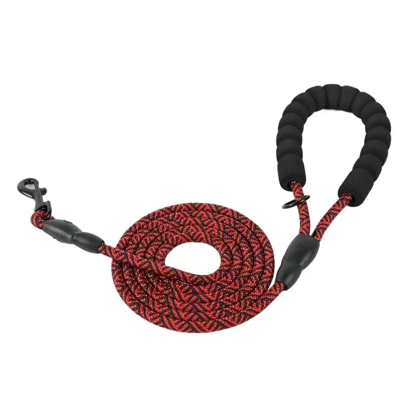Laisse Réfléchissante Gros Chien 150cm