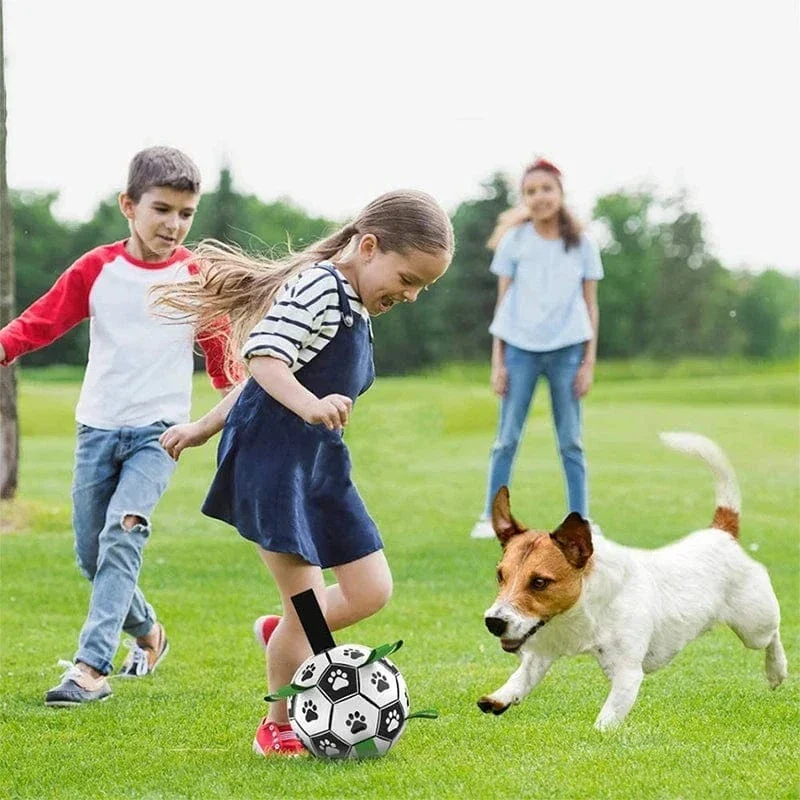 Ballon Football Résistant Gros Chien