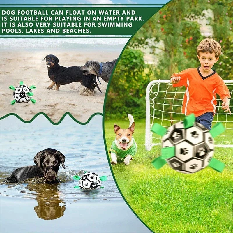 Ballon Football Résistant Gros Chien