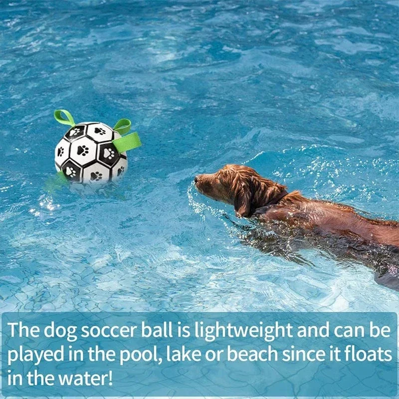 Ballon Football Résistant Gros Chien