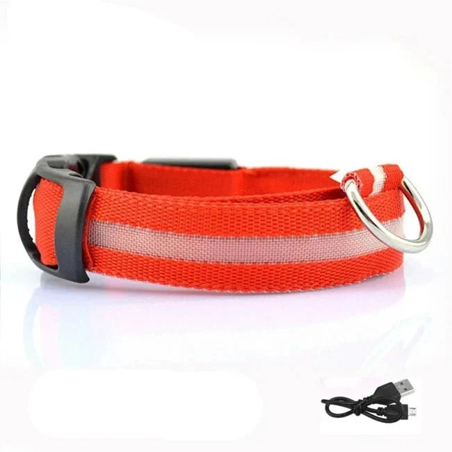 Collier LED Lumineux Chien Nuit Rechargeable