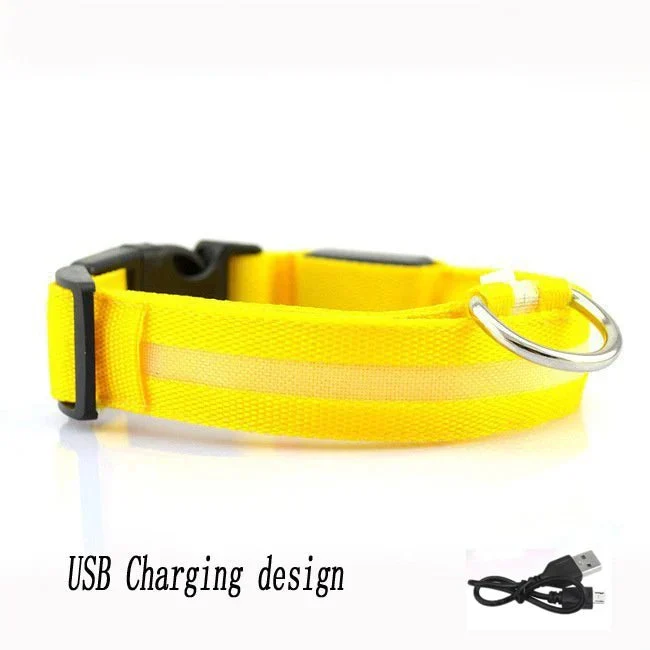 Collier LED Lumineux Chien Nuit Rechargeable