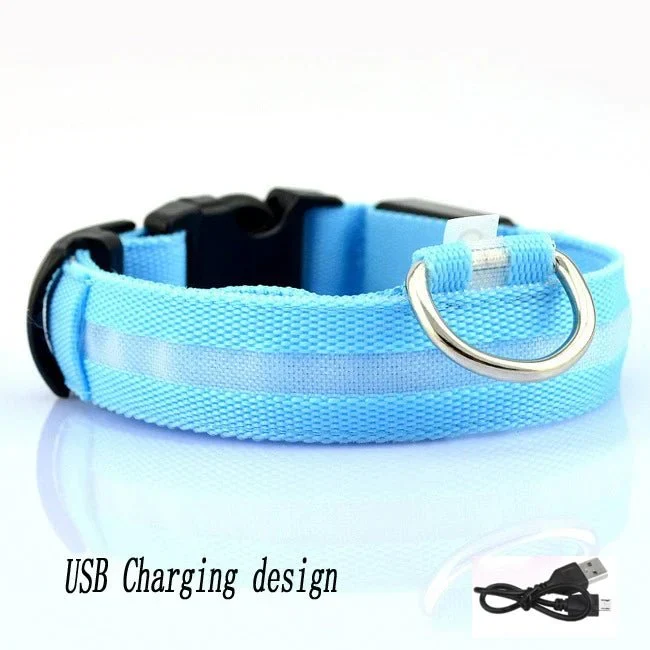 Collier LED Lumineux Chien Nuit Rechargeable