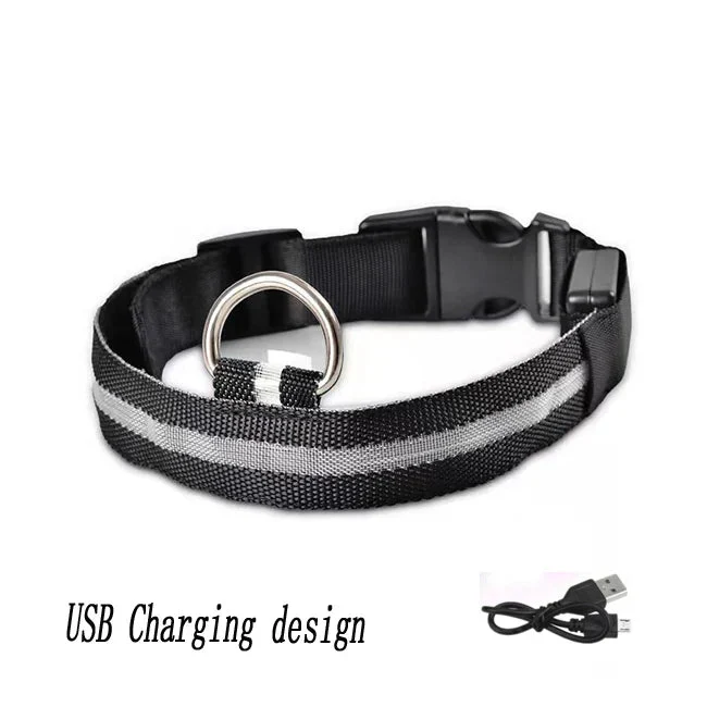 Collier LED Lumineux Chien Nuit Rechargeable
