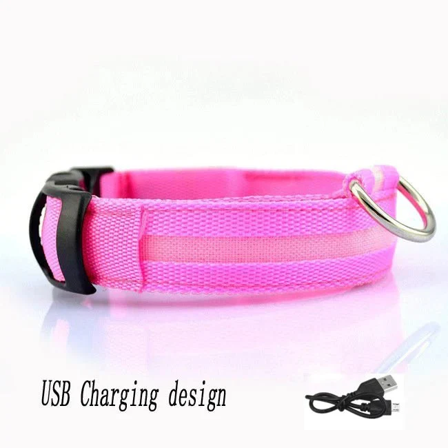 Collier LED Lumineux Chien Nuit Rechargeable
