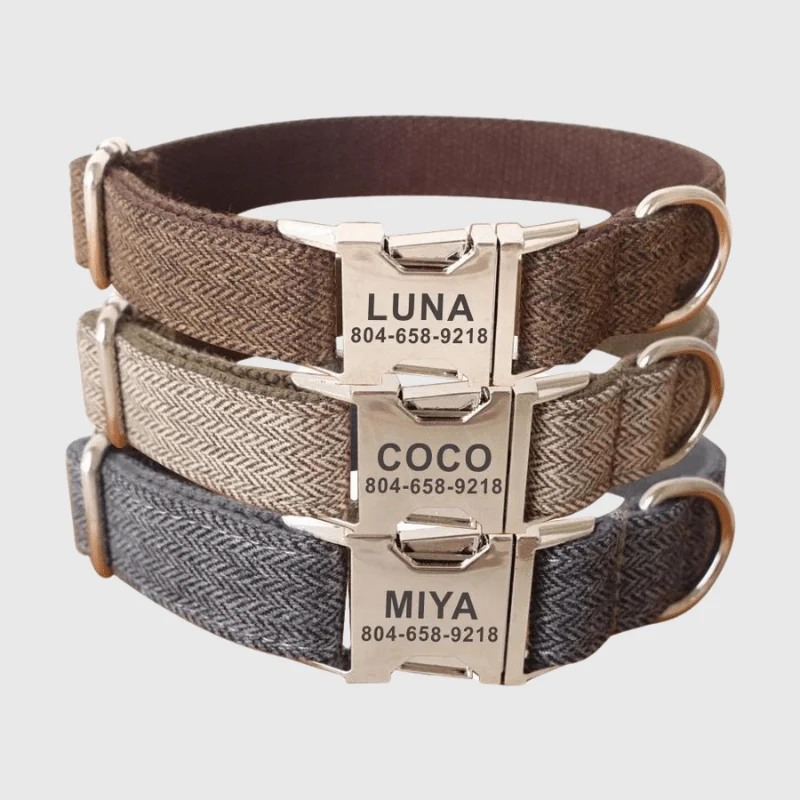 Collier Tressé Personnalisé Gravé Gros Chien
