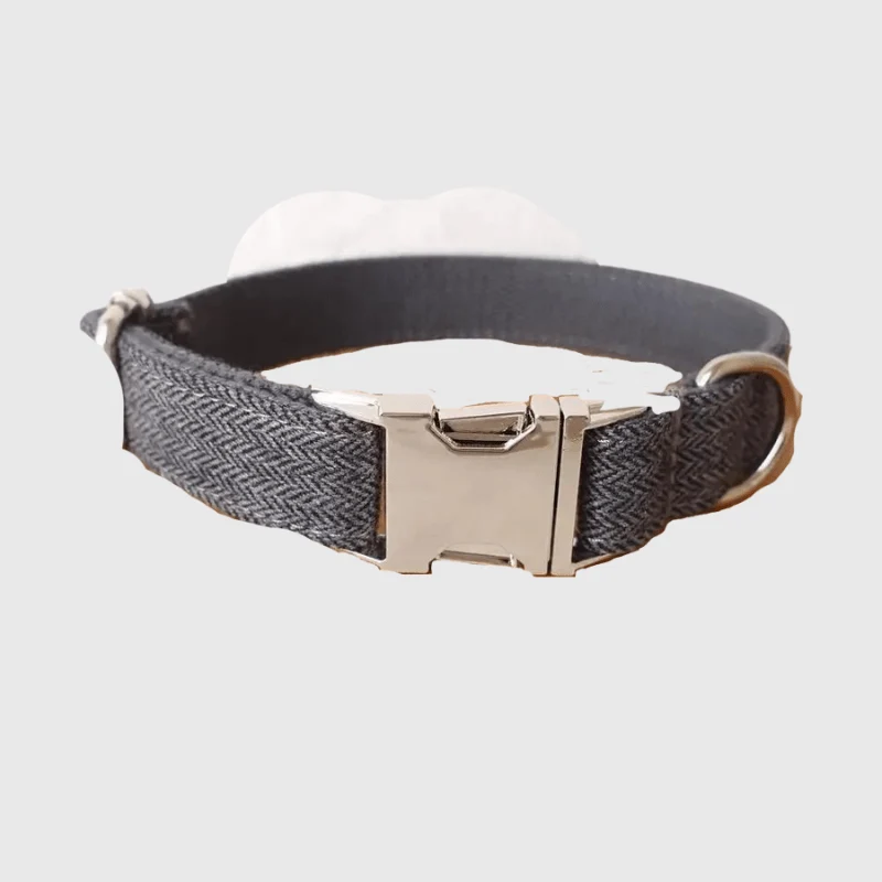 Collier Tressé Personnalisé Gravé Gros Chien