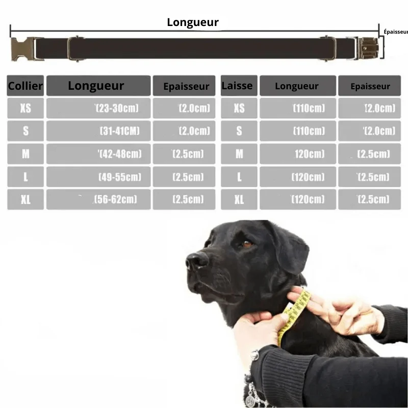 Collier Tressé Personnalisé Gravé Gros Chien