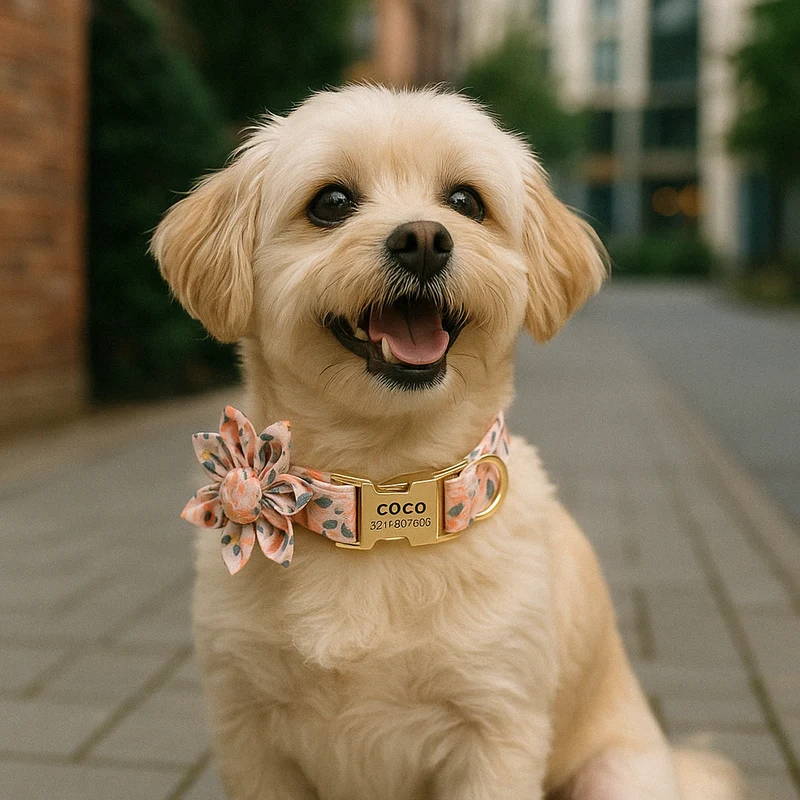 Collier Personnalisé Fleur Gravure Nom Chien