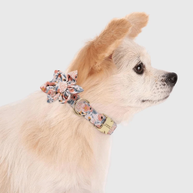 Collier Personnalisé Fleur Gravure Nom Chien
