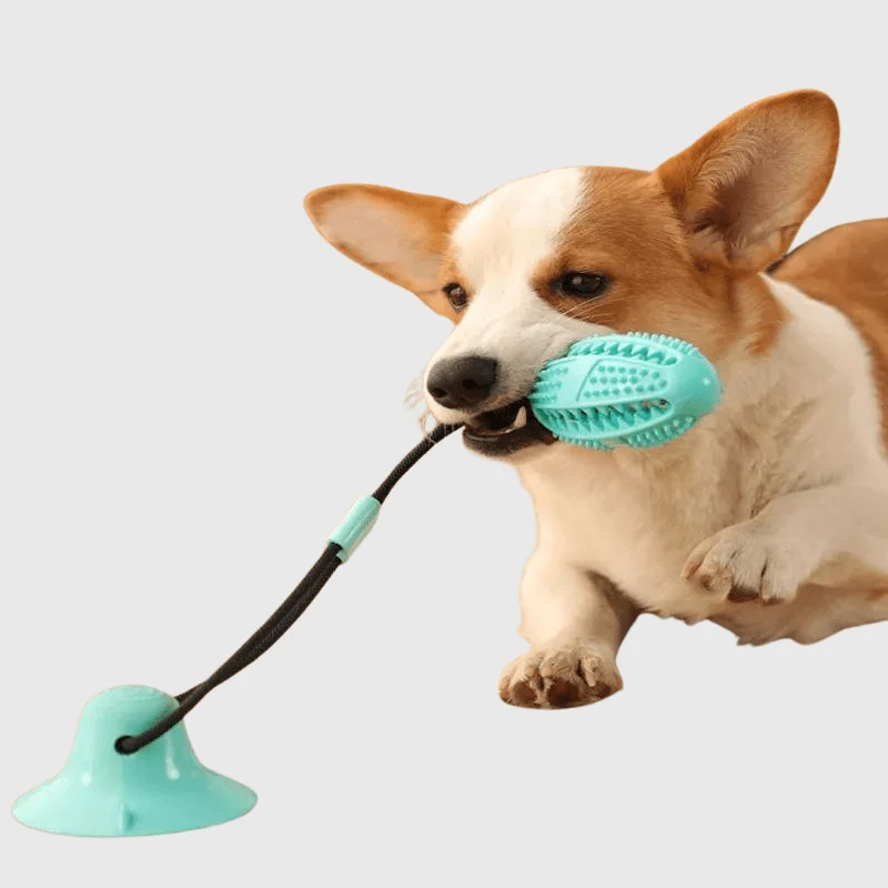 Jouet Ventouse Ultra-Résistante Gros Chien Caoutchouc