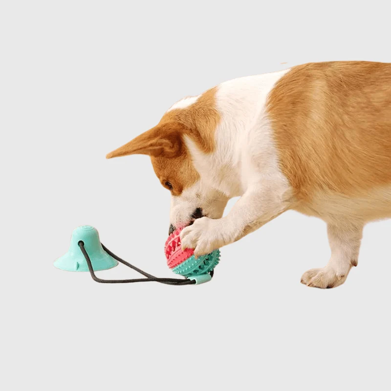 Jouet Ventouse Ultra-Résistante Gros Chien Caoutchouc