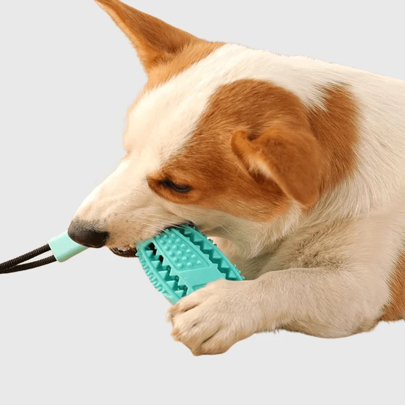 Jouet Ventouse Ultra-Résistante Gros Chien Caoutchouc