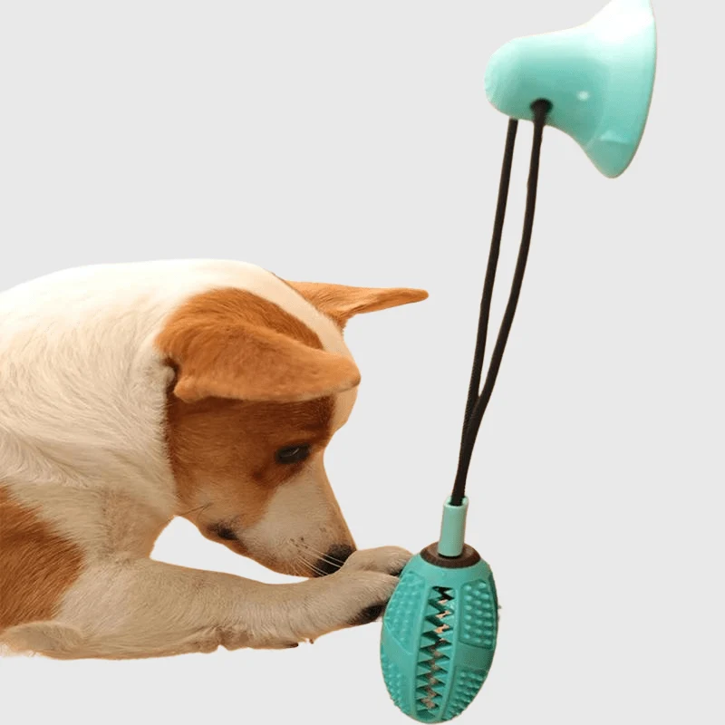 Jouet Ventouse Ultra-Résistante Gros Chien Caoutchouc