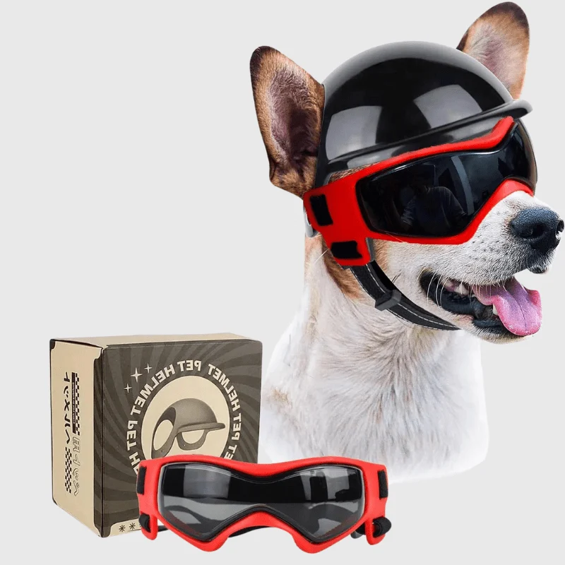 Casque Moto Chien Gros Gabarit Protection