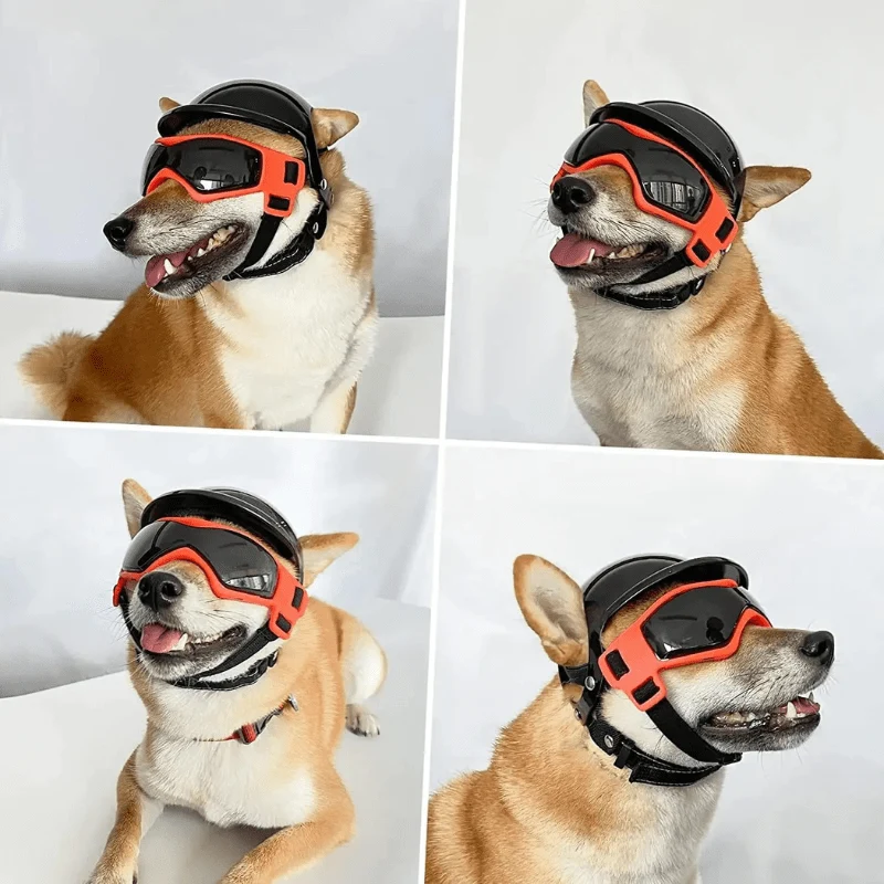 Casque Moto Chien Gros Gabarit Protection