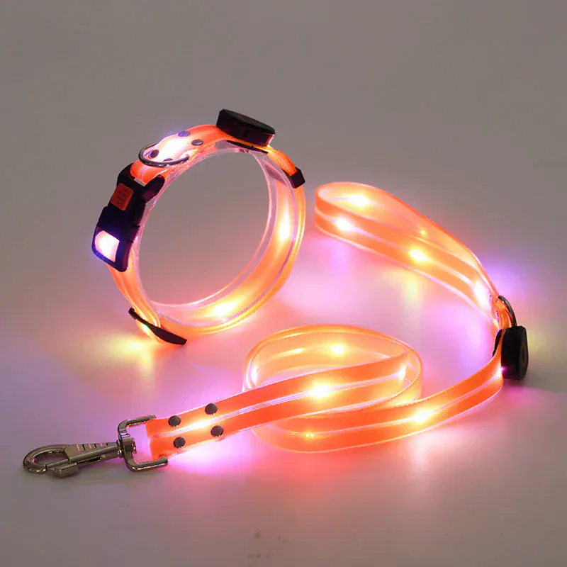 Collier Laisse LED Rechargeable Chien Nuit