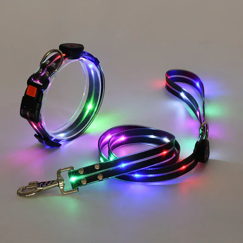 Collier Laisse LED Rechargeable Chien Nuit