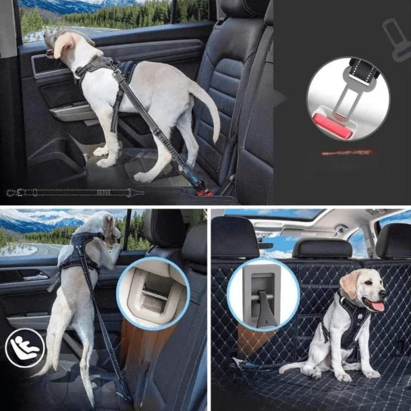 Ceinture Sécurité Voiture Chien 3-en-1
