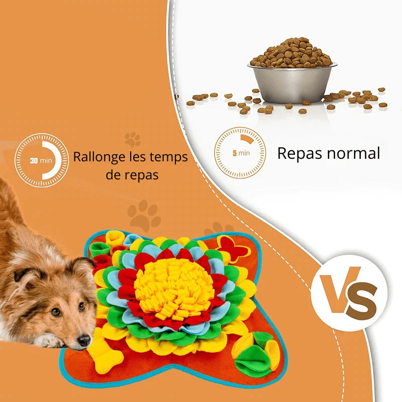 Tapis Fouille Croquette Grand Chien Mental