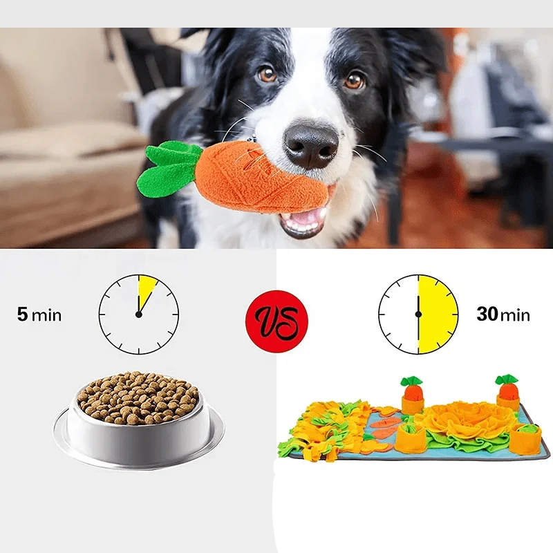 Kit Tapis Fouille Chien 50x80cm Anti-Stress
