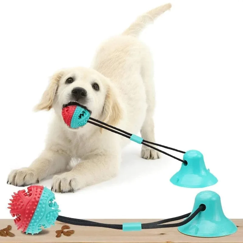 Jouet Succion Mâchoire Résistant Gros Chien